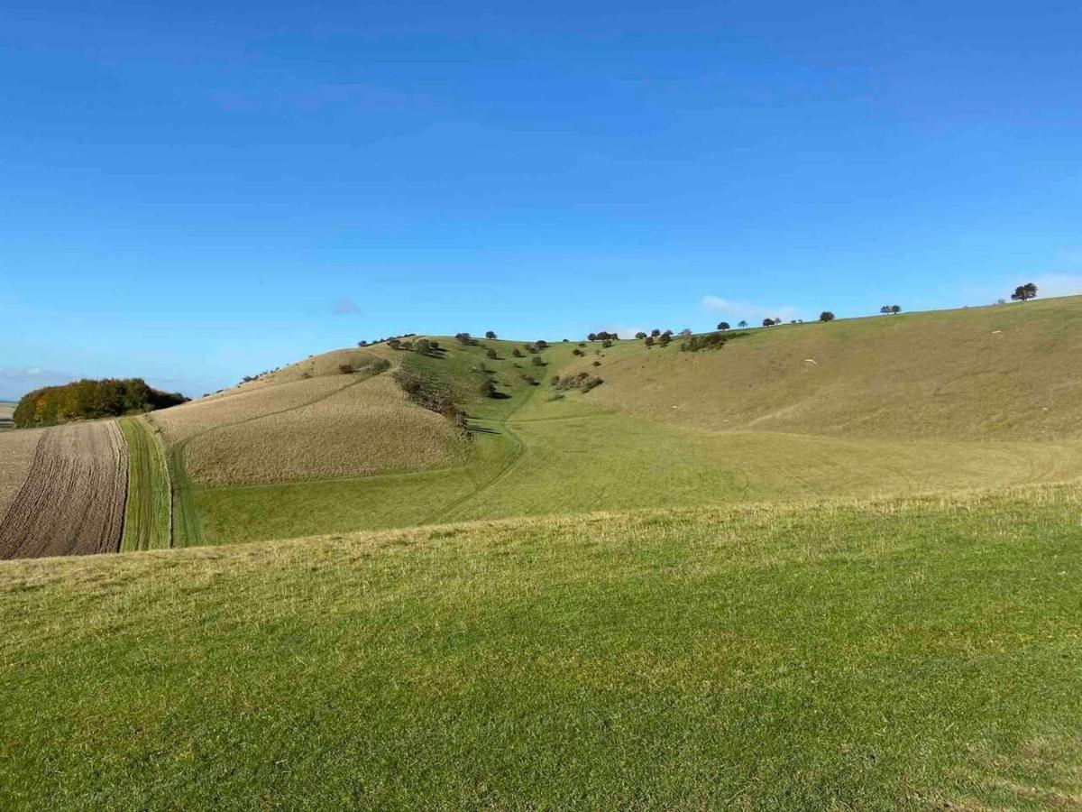 Pewsey Retreat 3 Sleeps -Petfriendly Bbq Parking Apartment Exterior photo