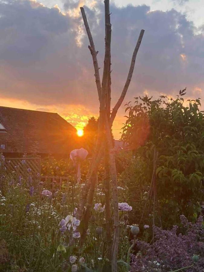 Pewsey Retreat 3 Sleeps -Petfriendly Bbq Parking Apartment Exterior photo